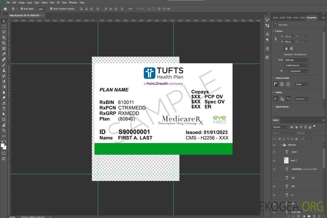 Carte d'assurance maladie du Massachusetts aux États-Unis template